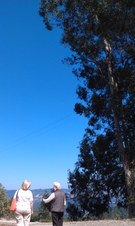 Enlarge photo 24