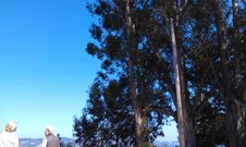 Enlarge photo 25