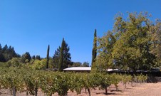 Enlarge photo 28