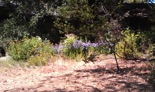 Enlarge photo 29
