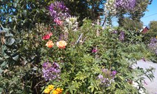 Enlarge photo 3