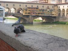 Enlarge photo 28