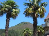 Enlarge photo 21