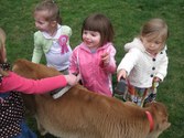 Enlarge photo 22