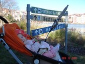 Enlarge photo 15
