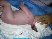 Enlarge photo 15