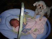 Enlarge photo 7