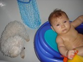 Enlarge photo 13
