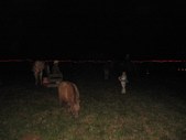 Enlarge photo 35