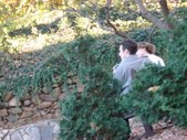 Enlarge photo 18