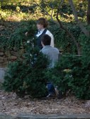 Enlarge photo 19
