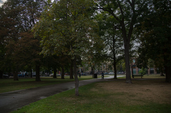 Enlarge photo 12