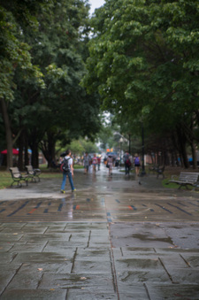 Enlarge photo 17