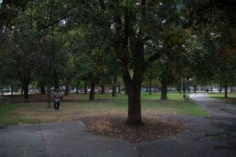 Enlarge photo 21