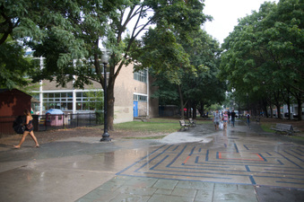 Enlarge photo 28