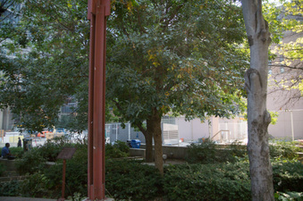 Enlarge photo 11