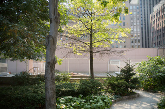 Enlarge photo 12