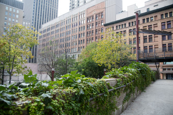 Enlarge photo 27