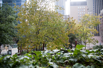 Enlarge photo 29
