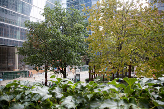 Enlarge photo 30