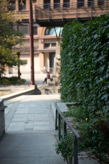 Enlarge photo 40