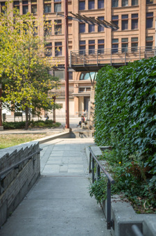 Enlarge photo 41