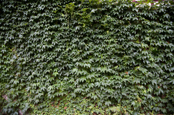 Enlarge photo 43