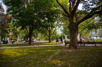 Enlarge photo 4