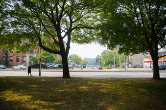 Enlarge photo 10