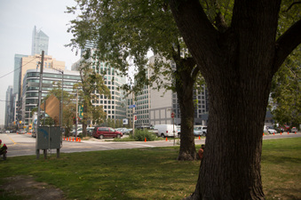 Enlarge photo 16