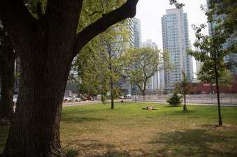 Enlarge photo 17
