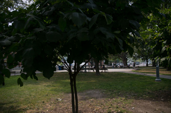 Enlarge photo 19