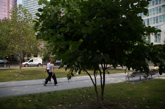 Enlarge photo 23
