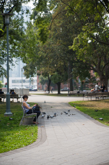 Enlarge photo 37