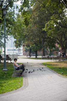 Enlarge photo 38