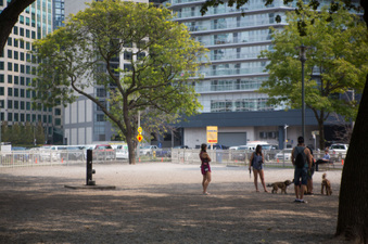 Enlarge photo 39