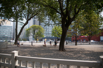 Enlarge photo 41