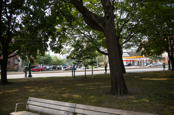 Enlarge photo 45