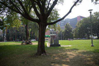 Enlarge photo 17
