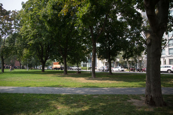 Enlarge photo 20