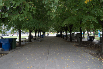 Enlarge photo 14