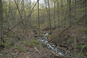Conservation Areas