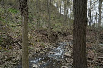 Enlarge photo 8