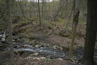 Enlarge photo 9