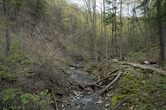 Enlarge photo 10