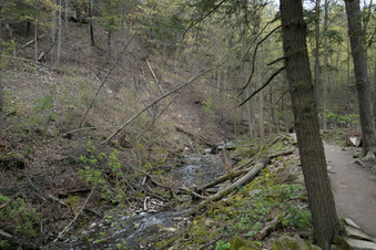 Enlarge photo 12