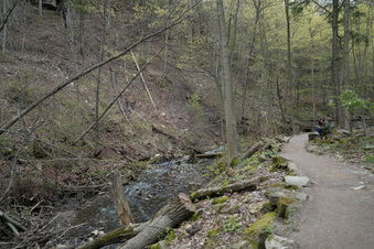 Enlarge photo 11