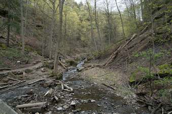 Enlarge photo 13