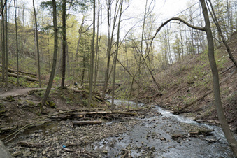 Enlarge photo 14