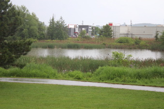 Enlarge photo 37
